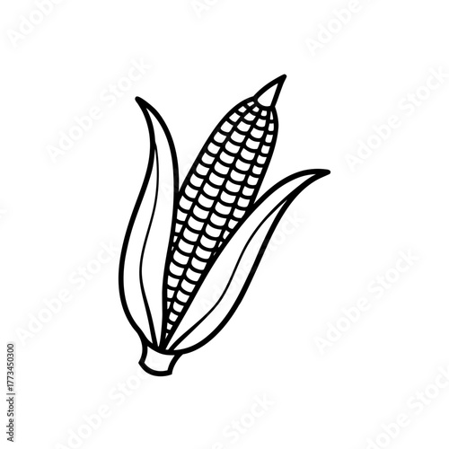 Outline drawing of an ear corn on transparent background