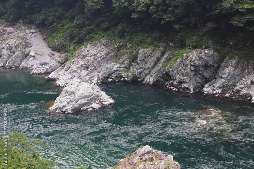Obraz premium 徳島県三好市 大歩危峡