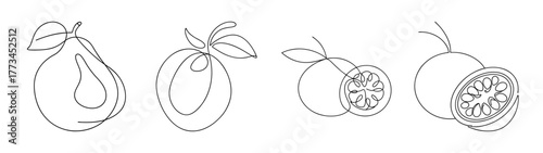 Line art sketch of passion fruit varieties showing exterior and interior details