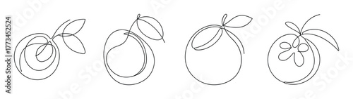 Four artistic line drawings of passion fruit with leaves and stems