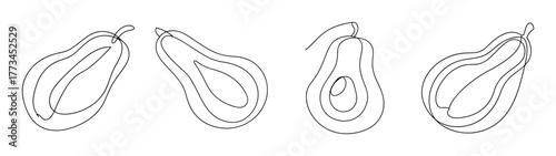 Four delicate line art sketches of papayas in different orientations