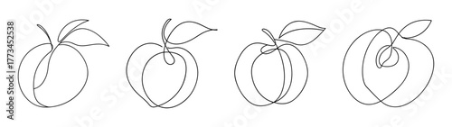 Four hand drawn sketchy peach fruits with leaves and stems