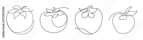 Four detailed line drawings of ripe persimmon fruits showing texture and stems