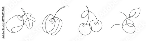 Four delicate sketch drawings of bicycle components in graphite pencil