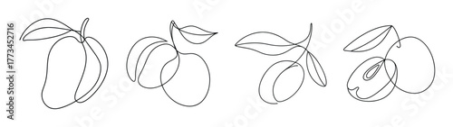 Hand drawn nance fruit botanical sketches on white