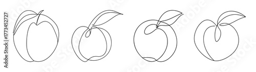 Line art nectarine fruit designs fresh natural organic food