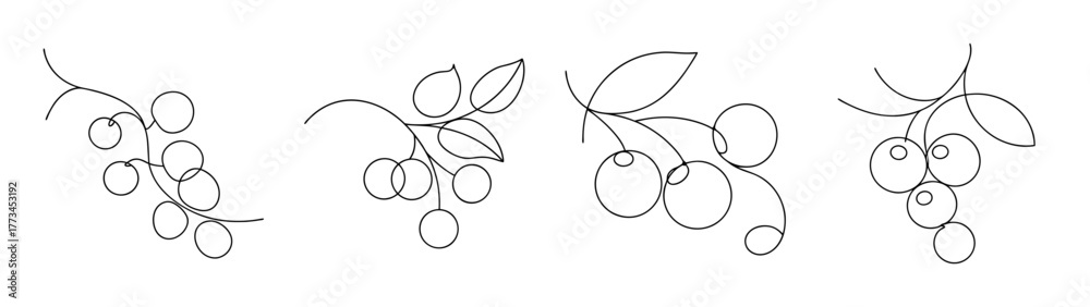 Naklejka premium Four branches of red currants with detailed delicate sketch lines