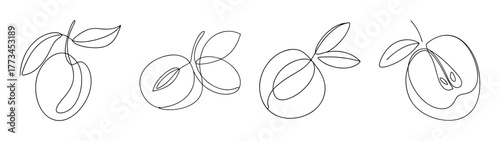 Detailed line art sketches of four sapodilla fruits with leaves