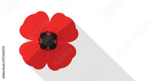Illustration of a red poppy flower with a black center and a long shadow.