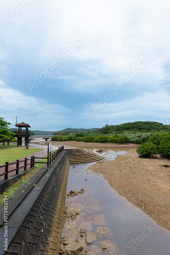 Wallpaper Mural Forêts de mangroves du village d'Higashi, Okinawa, Japon Torontodigital.ca