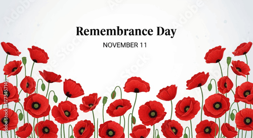 Remembrance Day illustration with red poppies and the date November 11.