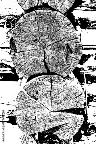 Rustic Tree Trunk Rings Texture