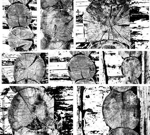 Rustic Tree Trunk Rings Texture