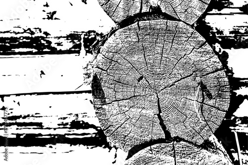 Rustic Tree Trunk Rings Texture