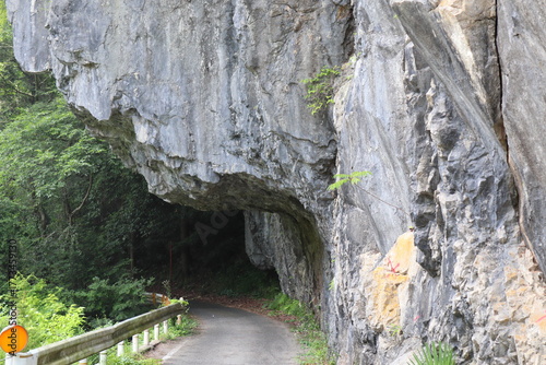 岡山県高梁市　県道300号　羽山第一隧道周辺