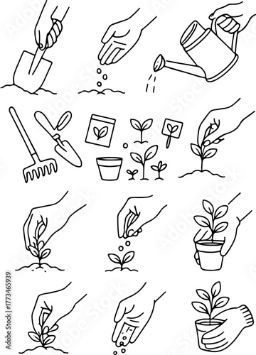 set of icons of stages of growing and caring for plants at home, for web design, stickers, branding and decor