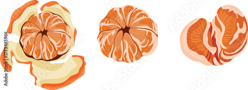 set of vector icons of peeled tangerines and halves of tangerines, for New Year's designs, for social networks or printing