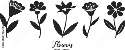 Five minimalist black flower silhouettes vector graphic set with stems isolated on a transparent background