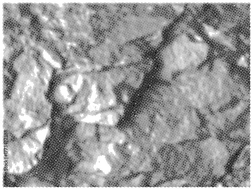 Abstract Halftone Background