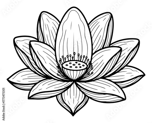Lotus Flower Sacred Symbol Detailed Line Art Vector Illustration