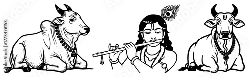 Lord Krishna with Sacred Cows Vector Illustration. Hindu God playing flute between two Nandi holy cows. Black and white drawing for Janmashtami and spiritual design.