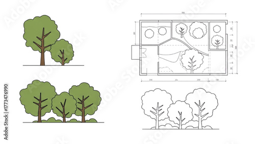 Landscape Plan Elements Tree Groupings & Architectural Design