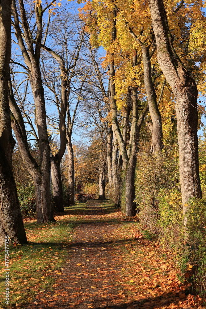 Fototapeta premium Sonniger Herbsttag in Bad Dürrheim