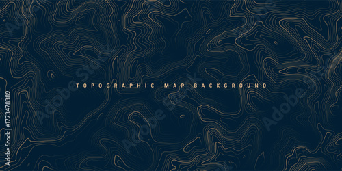 Colorful topographic map with contour lines. Geographic terrain grid, relief height elevation. Ground path pattern. Travel and navigation, cartography design element. Vector illustration