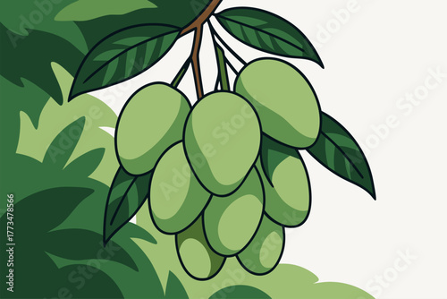 Fresh green mangoes hanging on tree branches representing tropical abundance natural growth vitality and refreshing organic sweetness in warm summer season