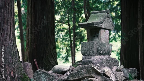 森の中の祠、神聖な場所