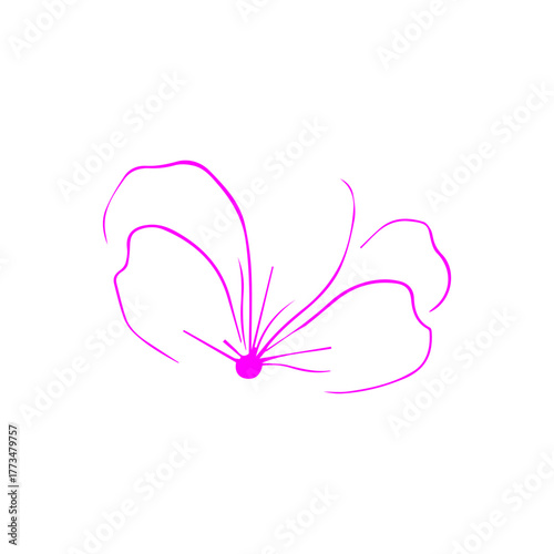 pink butterfly on white