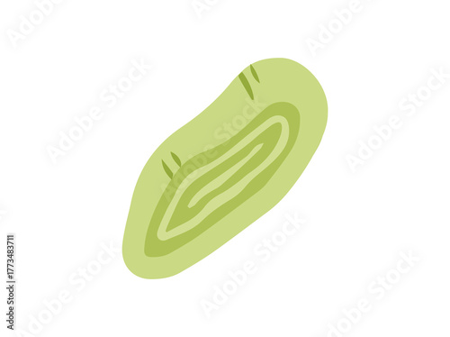 Green Onion Slice Scallions Illustration
