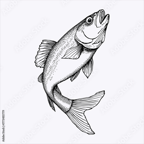 Vintage engraving illustration of a jumping fish artwork