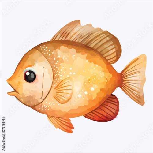 Watercolor painting of cute orange tropical fish animal