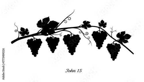 Black Vector Silhouette: Grapes and Vine (John 15)
