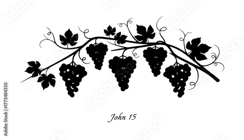 Black Vector Silhouette: Grapes and Vine (John 15)
