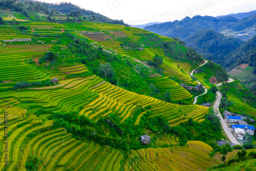 Aerial view of golden rice terraces at Mu Cang Chai town near Sapa city, North of Vietnam. Beautiful terraced rice field in harvest season in Yen Bai province.