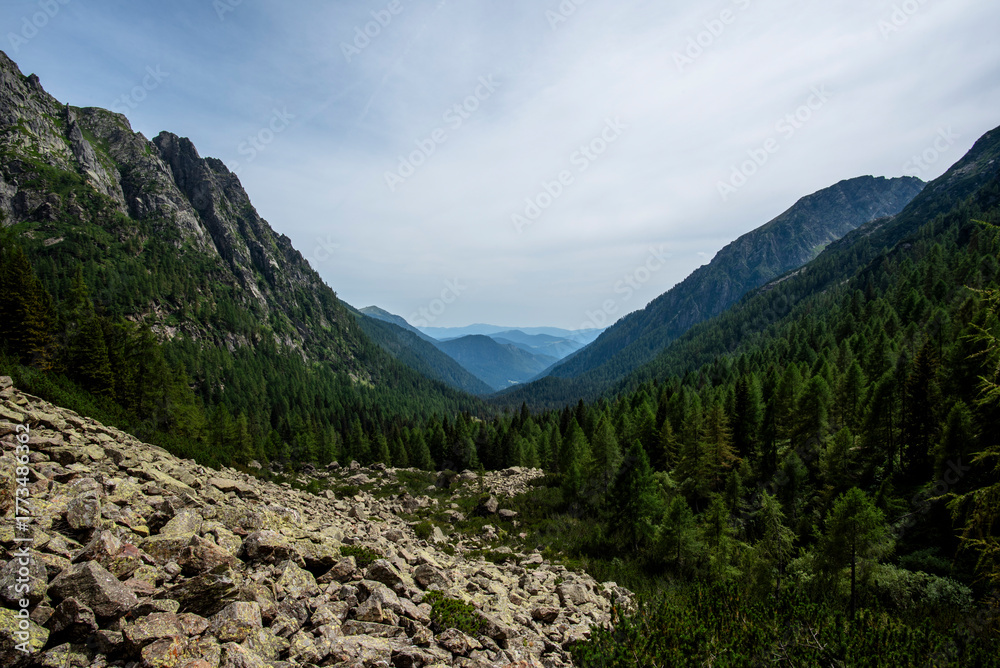 Fototapeta premium 2024 08 15 Pieve Tesino Landscape 10.jpg