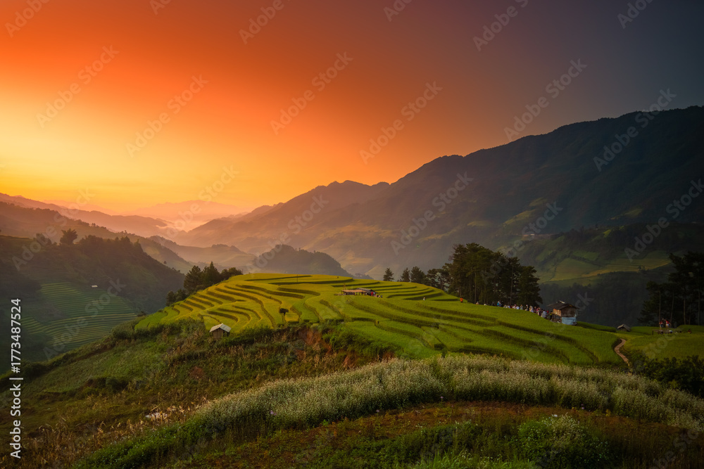 Obraz premium Aerial view of golden rice terraces at Mu Cang Chai town near Sapa city, North of Vietnam. Beautiful terraced rice field in harvest season in Yen Bai province.