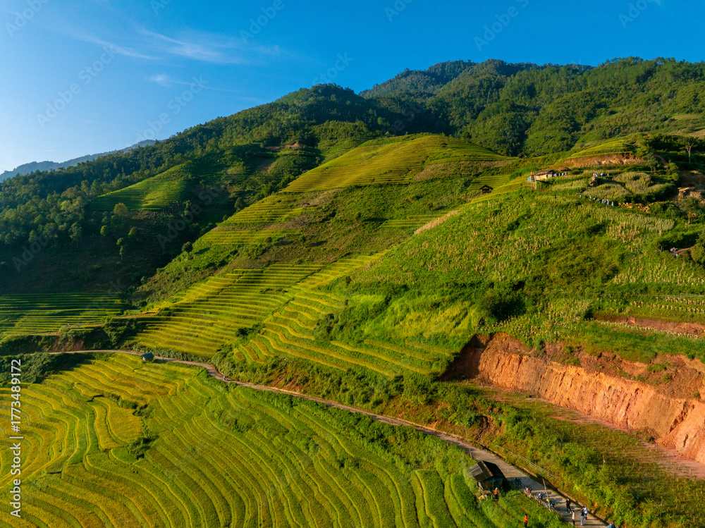 Fototapeta premium Aerial view of golden rice terraces at Mu Cang Chai town near Sapa city, North of Vietnam. Beautiful terraced rice field in harvest season in Yen Bai province.