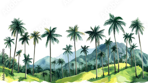 Cocora Valley. Cocora Valley hand drawn watercolor illustration