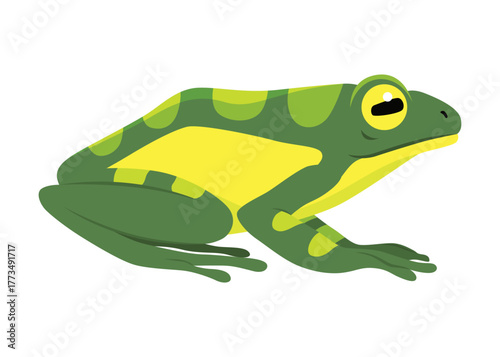 Frog jumping animation icon. Sequences or footage for motion design. Cartoon toad jumping, animal movement concept. Frog leap sequence, vector illustration