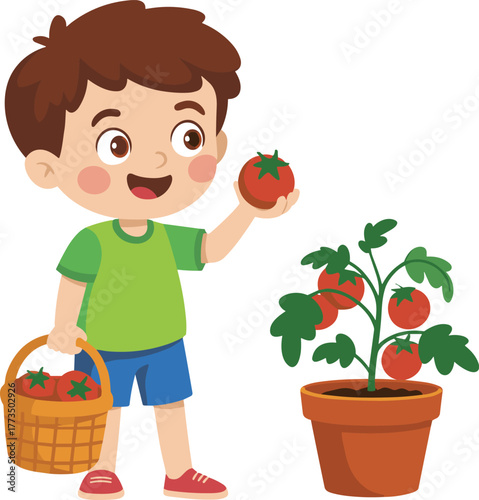 Cartoon child harvesting tomatoes, smiling kid with basket, ripe tomato plant, gardening activity, healthy food, educational farming, fresh vegetables