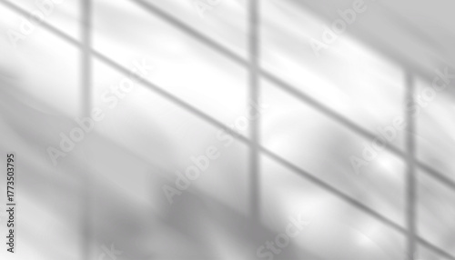 Window frame with sunlight reflection on white wall,Vector bright light of sun,shadow nature,tree branches leaf overlay background,Empty room and abstract pattern texture art design of summer banner