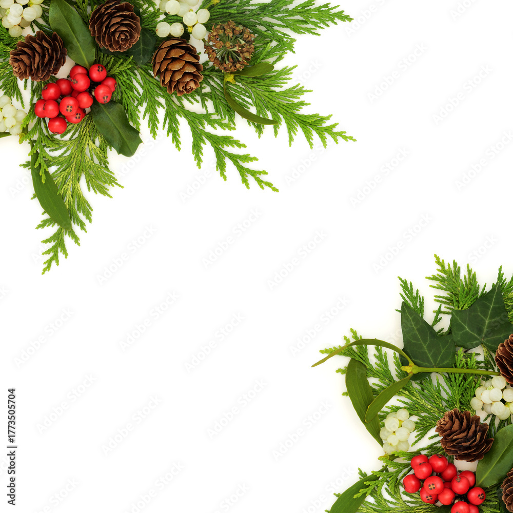 Obraz premium Winter Solstice Christmas holly, mistletoe, cedar fir, ivy flora, pine cone border frame on white background. Festive traditional nature Xmas design.