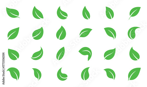 Vibrant collection of fresh green leaves brings a touch of nature to your designs, perfect for eco-friendly brands and organic products, promoting sustainability and growth, ideal for spring and summe