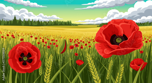 Beautiful summer landscape with wheat field and red poppy flowers under a cloudy sky, idyllic scene