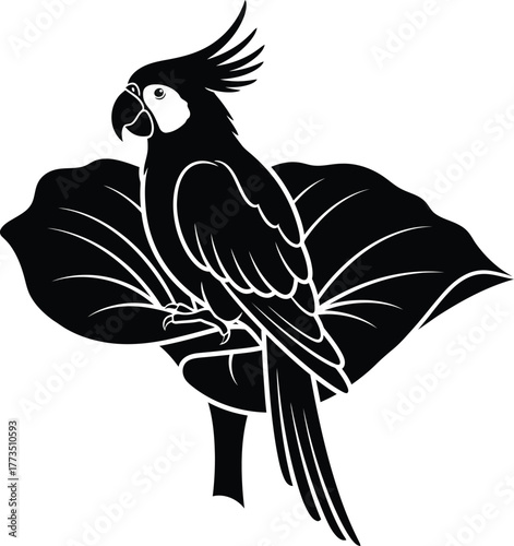Cockatoo on tropical leaf black and white illustration