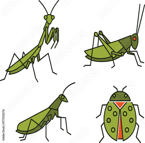 Set of Four Cartoon Line Art Insect Illustrations: Mantis, Grasshopper, and Ladybug