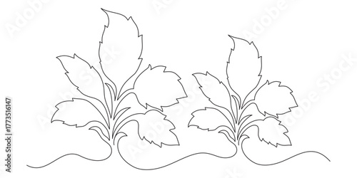 leaf line art.eps